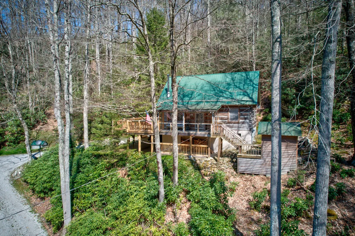 The exterior view of the wooden cabin with a green metal roof, surrounded by trees, showing the deck area and the gravel driveway leading up to the home. The scene hints at expansive outdoor space for pets and children, while the driveway’s steepness suggests the adventurous approach mentioned in the section.