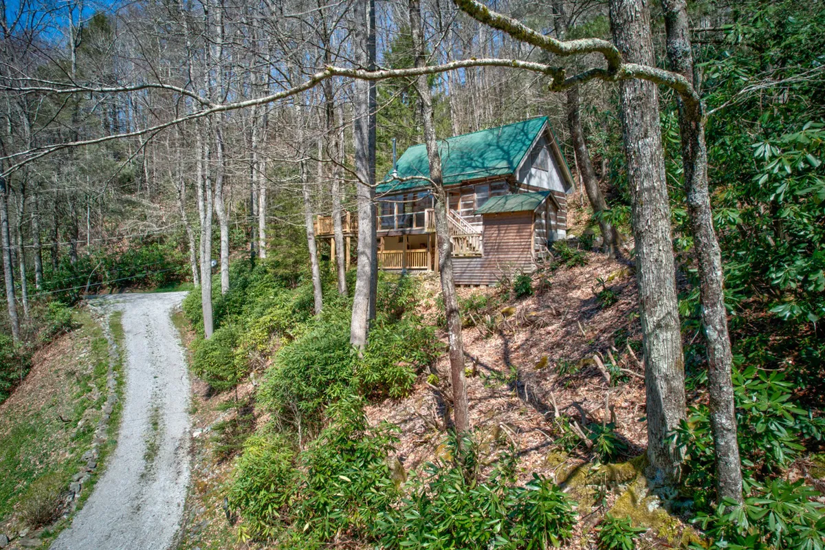 A charming cabin nestled among lush greenery, with a winding gravel path leading up to the entrance. The surrounding natural landscape hints at opportunities for nature walks, bird watching, and easy access to hiking trails. The porch area is visible and inviting for both people and pets to start their outdoor adventures.