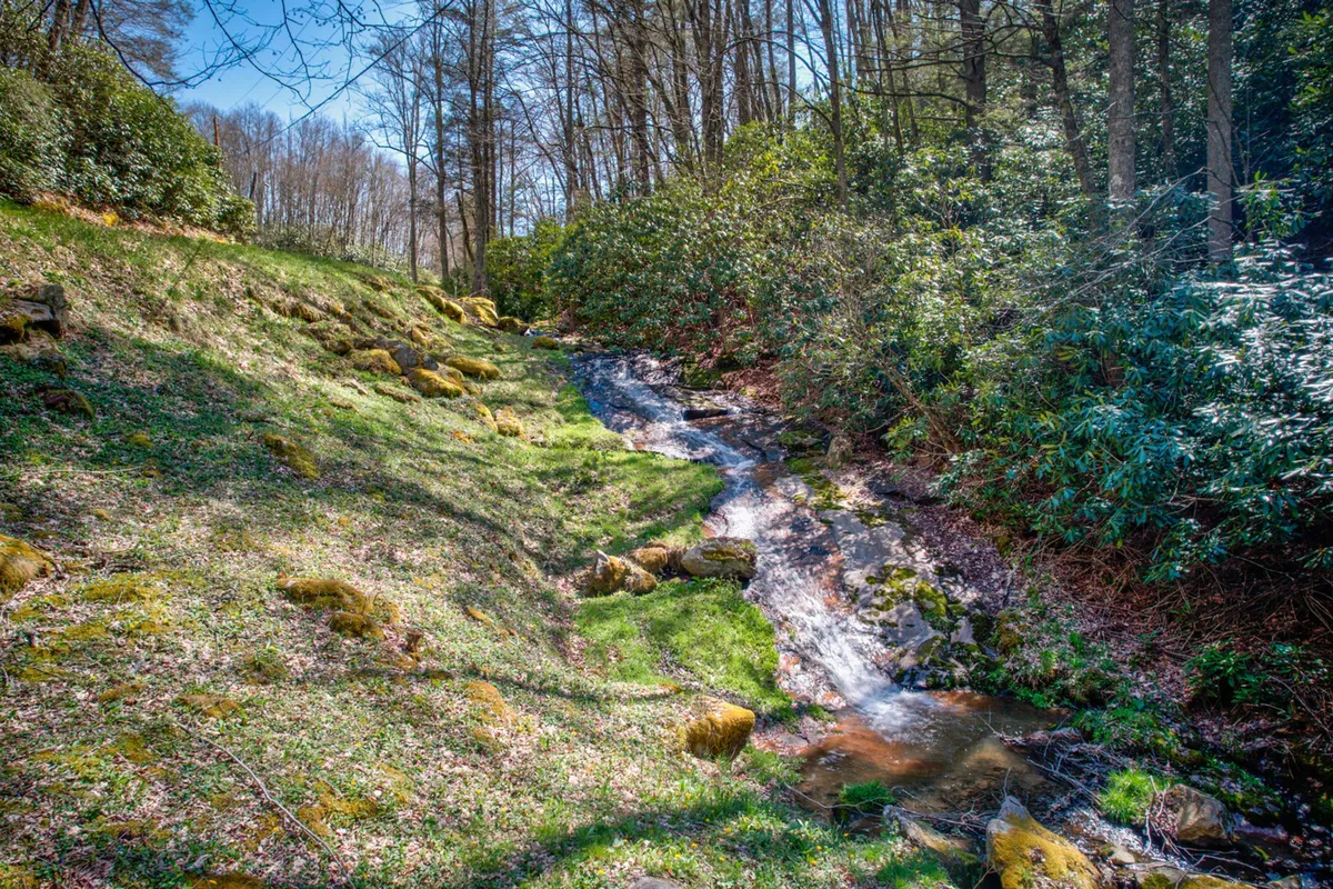 A gentle stream flows among moss-covered rocks and lush greenery, creating a peaceful natural setting. This image evokes the presence of a nearby creek, which enhances the ambiance of the decks and sunroom, fostering a sense of tranquility and connection to the wild.